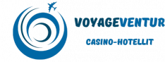 voyageventur.com